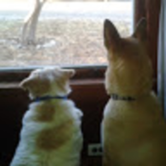 Meet your Posher, Shannon - Picture 1 of 1